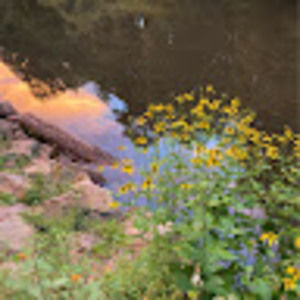 Meet your Posher, Ava